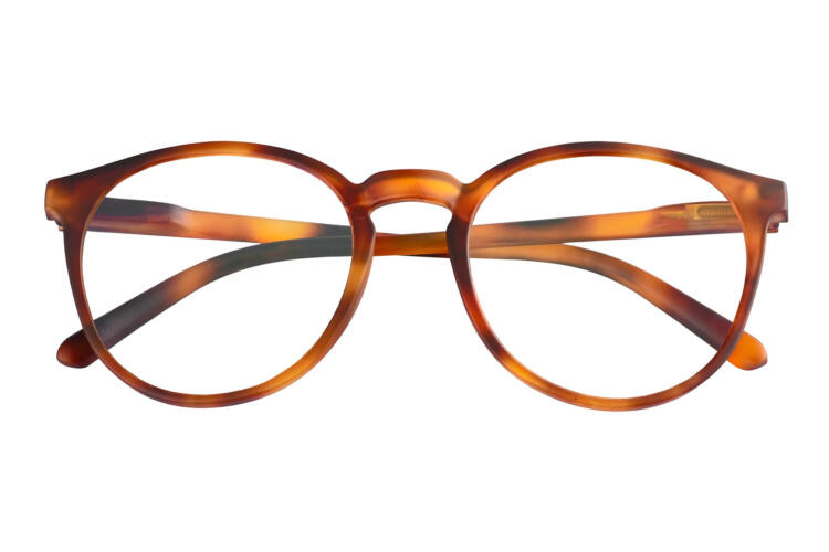 people-frontal-geschlossen-havanna-hell PEOPLE, Tortoise hell