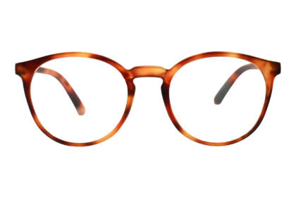 PEOPLE, Tortoise hell