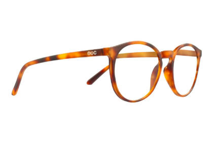 PEOPLE, Tortoise bright