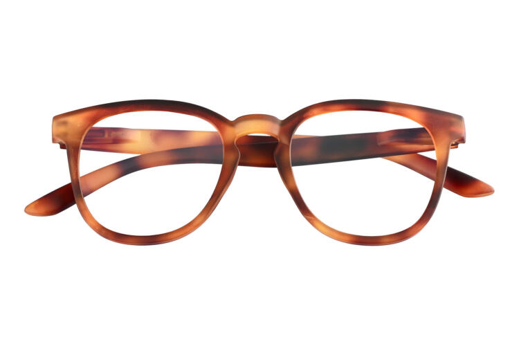 times-frontal-geschlossen-havanna-hell TIMES, Tortoise hell