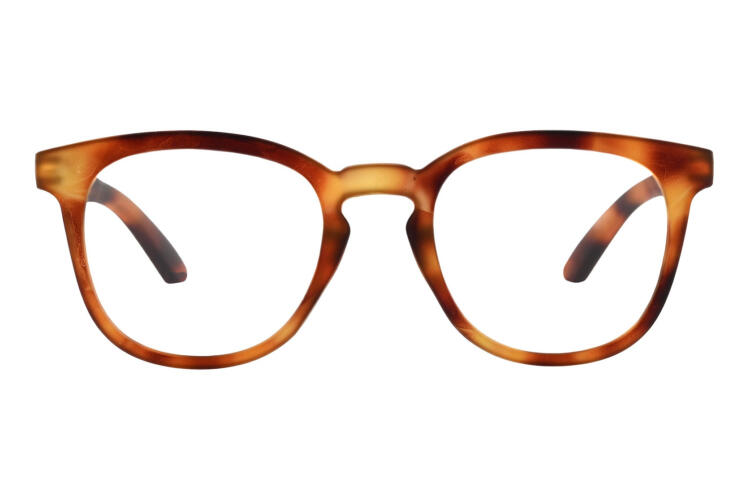 times-frontal-offen-havanna-hell TIMES, Tortoise hell