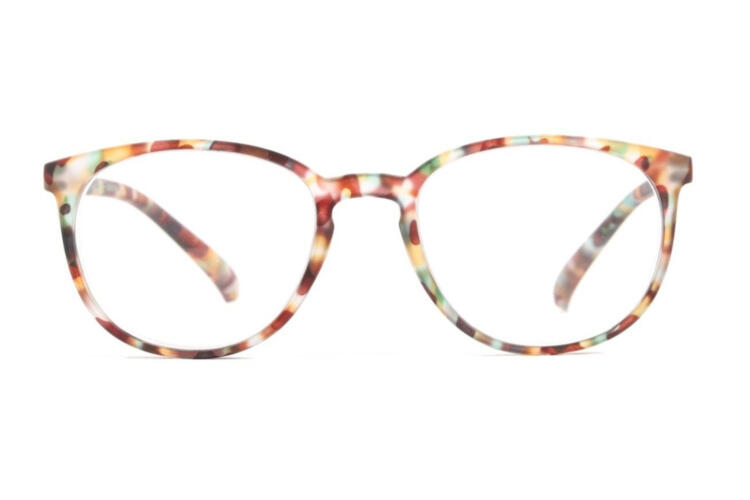 trr-regent-tortoise-frontal-offen Regent, Tortoise